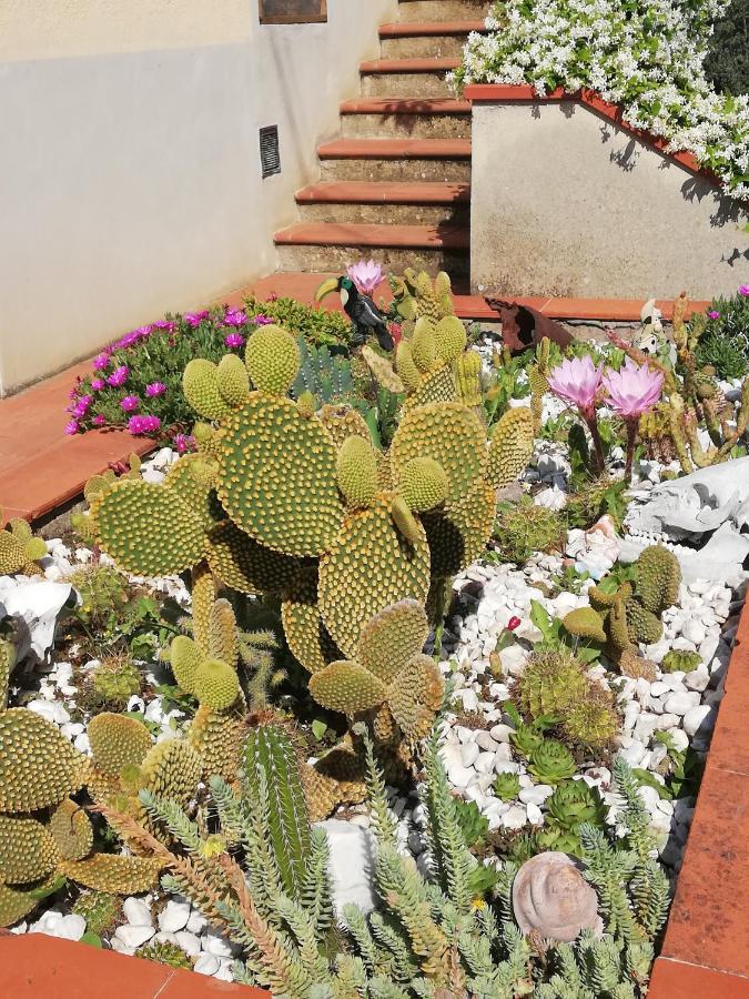I Rosai Appartamento Sulle Colline Fiorentine Bagno A Ripoli Luaran gambar